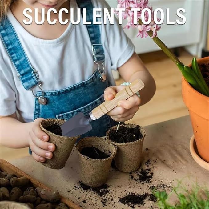 3 Pcs Mini Gardening Tool Set, Shovel, Spade, Rake Kit with Ergonomic Wooden Handles, Ideal for Planting, Weeding and Cultivating, Gardening Plant Tool for Cactus Herbs Indoor Miniature Plants (1 Set)