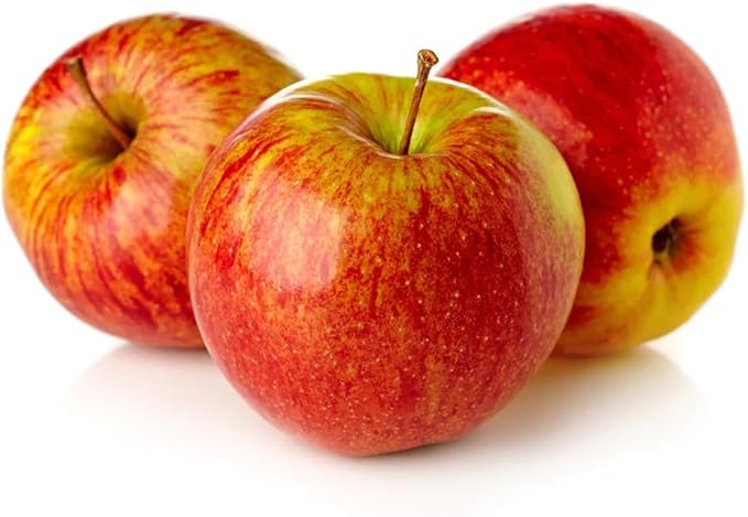 American Plant Exchange Anna Apple Tree, 1 Gallon Pot, 1-2 ft Tall, Live Outdoor Fruiting Plant, Honey Tart Fruit