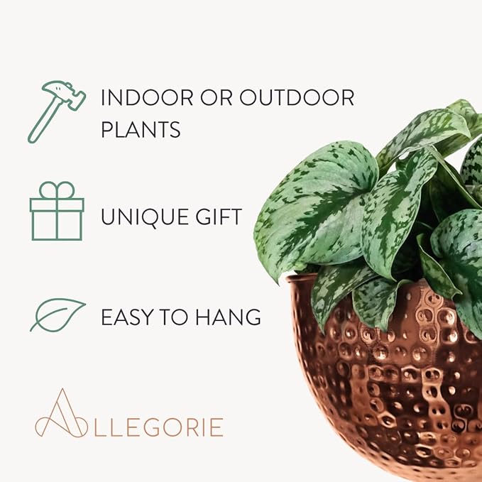 Allegorie Metal Wall Planter | Indoor or Outdoor Hanging Plant Pot | Farmhouse Decor & Boho Kitchen Decoration for Herbs & Succulents and Living Wall 12x7 (Copper)