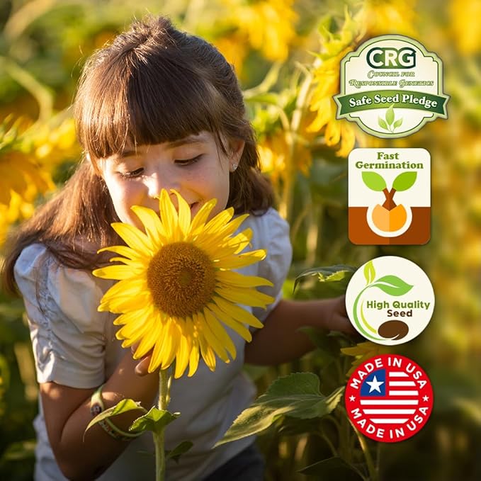 Sunflower Wildflower Seeds Mix - 1oz, Open-Pollinated Wildflower Seed Mix Packets, Non-GMO, No Fillers, Annual Sunflower Seeds, Summer Planting - 1 oz