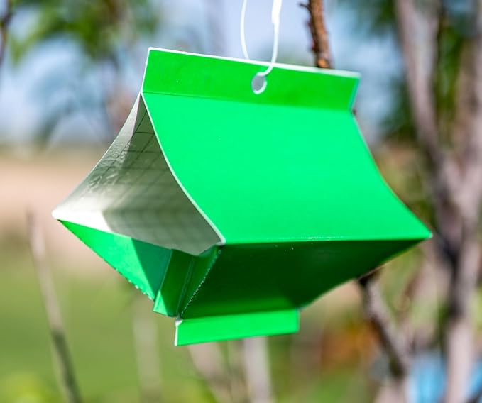 VivaTrap VT-106 Codling + Oriental Fruit Moth Trap & Lure (2 Pack, 8 Week)