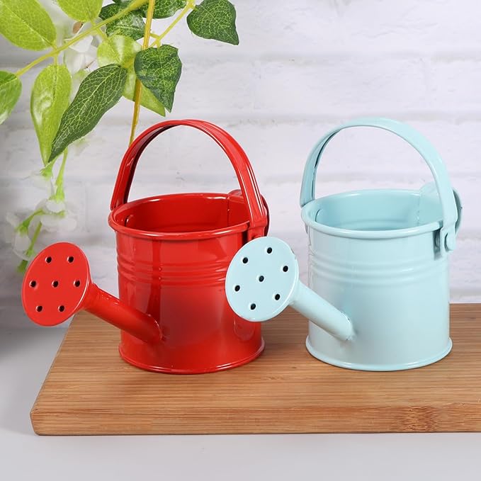 Kids Watering Can Metal Small Watering Can for Indoor Plants, Iron Mini Water Bottle for Garden Yarde Home Plants Flower Bonsai Pots (Red and Light, 2PCS)