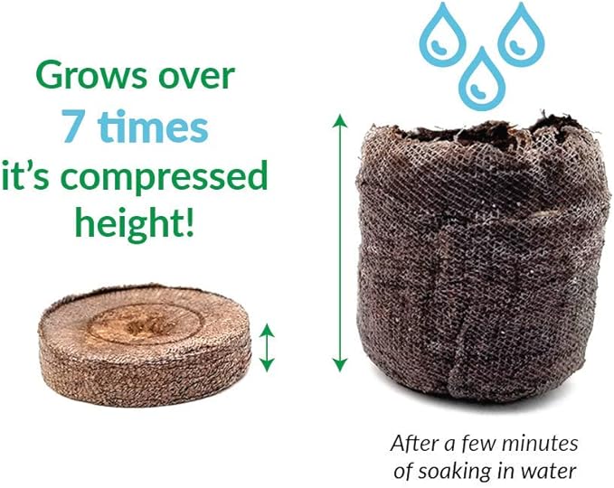 Ferry Morse Jiffy Seed Starting Windowsill Greenhouse with 10 Biodegradable 42mm Peat Pellets (5 Pack)