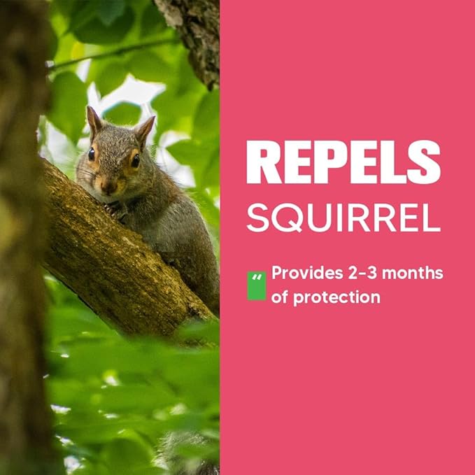 Squirrel Repellent for Yard & Garden, Peppermint Chipmunk Repellent, Squirrel Deterrent for Attic Garage/Bird Feeders, Keep Squirrels Away, Safe to Pets & Kids- 8 Pack