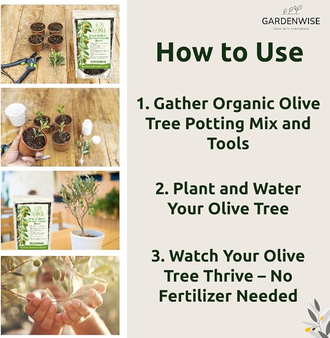 GARDENWISE Organic Olive Tree Potting Mix – Fast-Draining, Nutrient-Rich Soil for Indoor & Outdoor Olive Trees – Mediterranean Plant Care – Long-Lasting Formula (1 Quart)