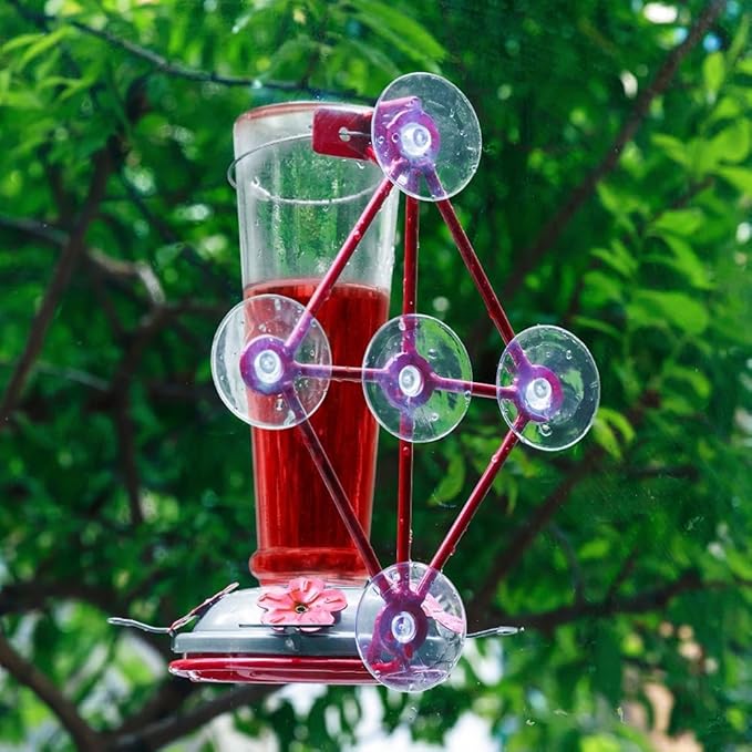 Window Hummingbird Feeder with 5 Strong Suction Cup 32 Ounces Colorful Hand-Blown Glass Hummingbird Feeder for Outdoor Patio Hanging Windows Mount (Transparency)