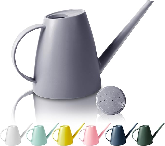 Watering Can for Indoor Outdoor Plants, Modern Small Watering Cans with Removable Nozzle, Long Spout Watering Can for Indoor Bonsai Plants Garden Flowers 1/2 Gallon 1.8L 60OZ (Grey)