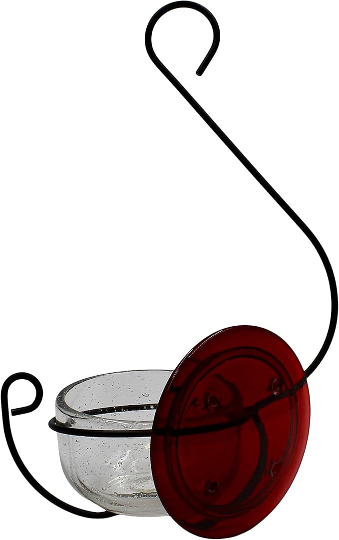 Glass Hummingbird Feeder - Handcrafted Clear Glass Bowl with Red Cap - 4 Feeding Ports - Decorative Hanging Hook - Easy Clean Outdoor Hummingbird Feeder for Nectar
