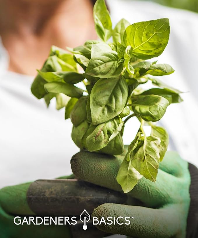 Pepper Seeds Variety Pack Indoor Pepper Growing Kit Our Pepper Seeds Kit Includes Green Bell Pepper, Anaheim, Jalapeno, Cayenne, Habanero, Ancho, Seranno and Hungarian Hot Wax Peppers