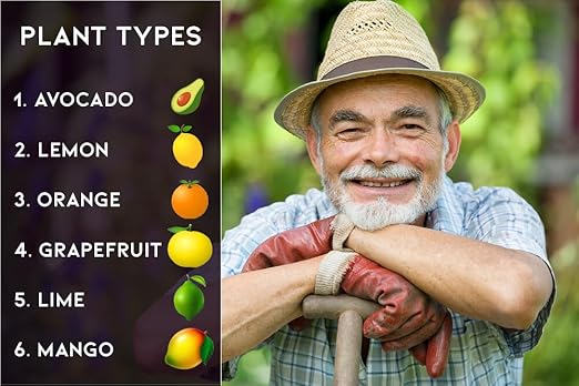 𝐁𝐄𝐒𝐓𝐒𝐄𝐋𝐋𝐄𝐑 6-4-6 Avocado Citrus Tree Plant Food for Outdoor/Indoor Gardening | Quick-Release Nitrogen Fertilizer | Orange, Lime, Avocado and Lemon Tree Fertilizer (4 Quarts)