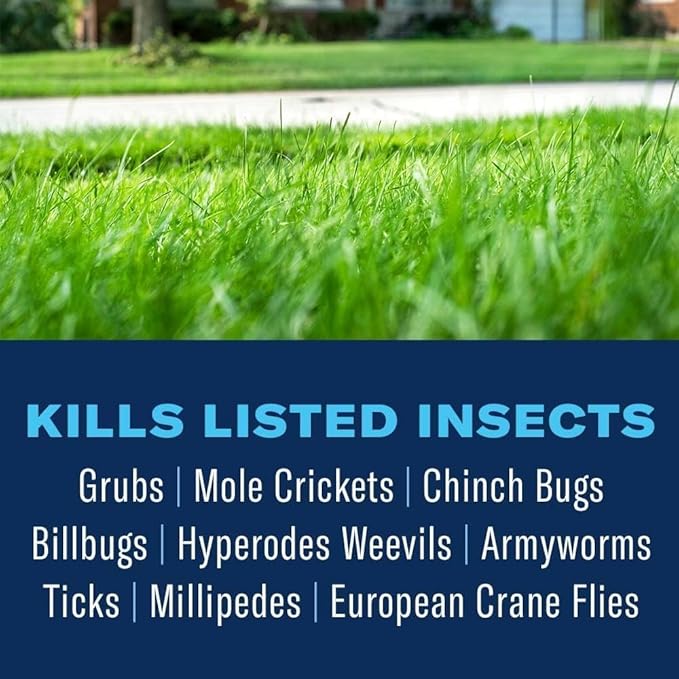 BioAdvanced Season Long Grub Control Granules - Kills Grubs, Mole Crickets, Cinch Bugs, and More - Creates Protective Zone - 10 lb Bag