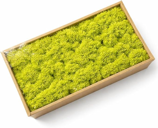 Cigarlemon Preserved Reindeer Moss, 17.64oz Natural Decorative for Home Decor, DIY Crafts, Moss Wall Art, Terrariums, Floral Arrangements, Wedding & Holiday Decorations (Fruit Green)