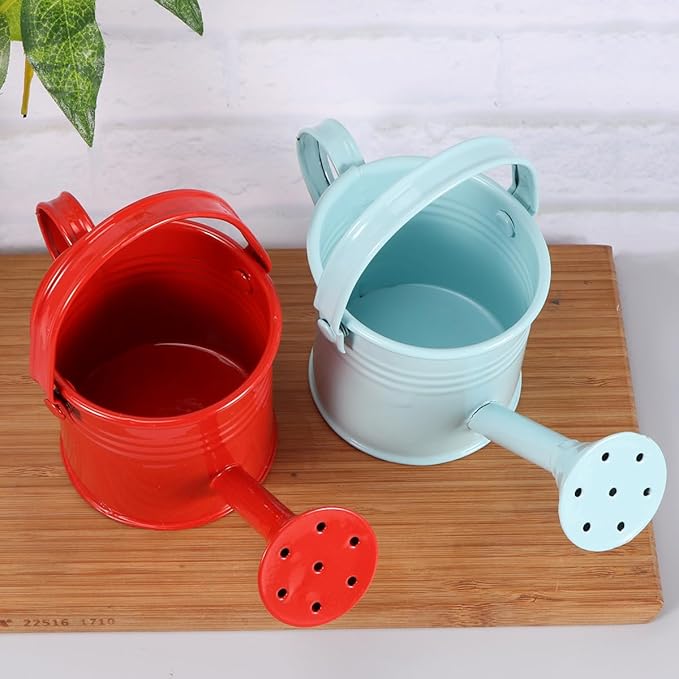 Kids Watering Can Metal Small Watering Can for Indoor Plants, Iron Mini Water Bottle for Garden Yarde Home Plants Flower Bonsai Pots (Red and Light, 2PCS)