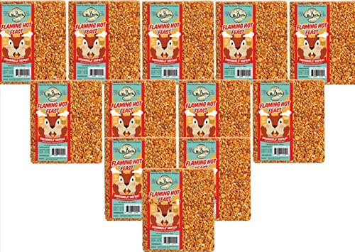 12-Pack of Mr Bird's Flaming Hot Feast Large Wild Bird Seed Block 1 lb. 9 oz.