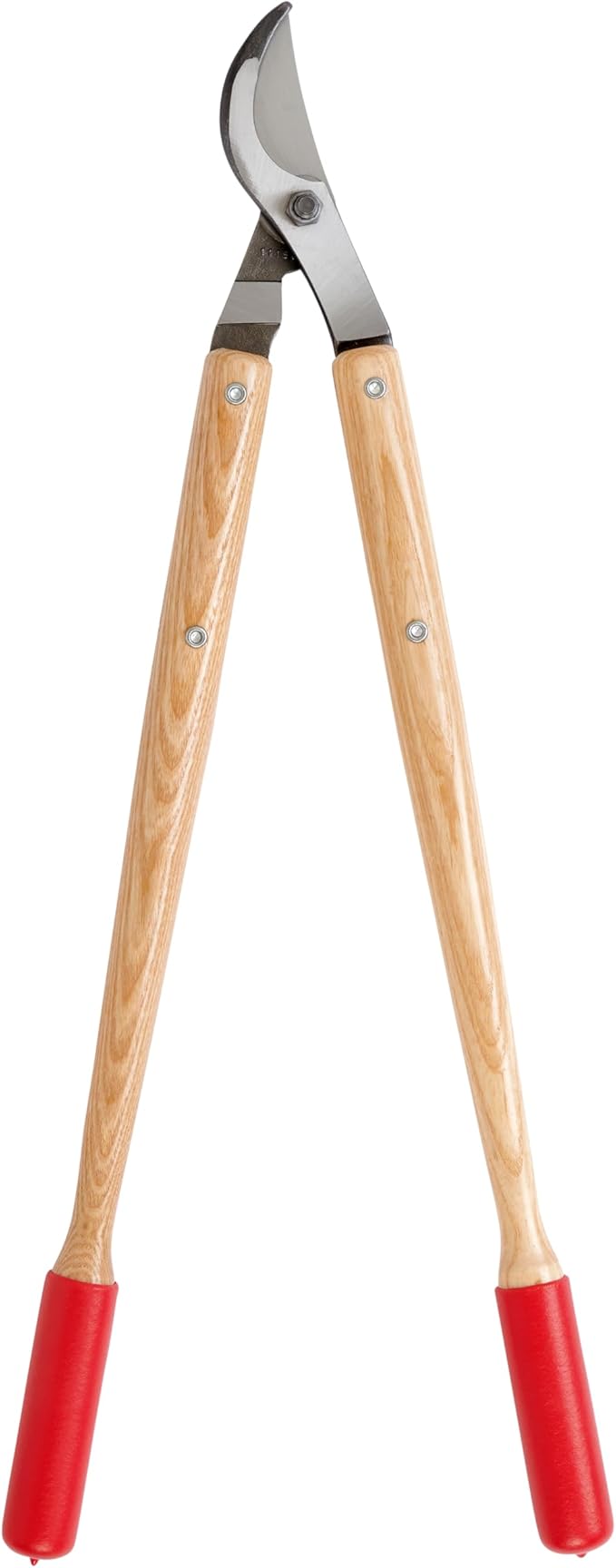 Corona Tools WL 3351 26″ Bypass Loppers – Heavy-Duty Branch Cutter for Trees, Shrubs & Landscaping