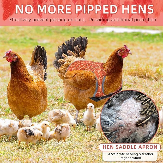 Chicken Saddles for hens, Chicken Apron Back Protector for Hens With Adjustable Strap, Chicken Hen Mating Saddle