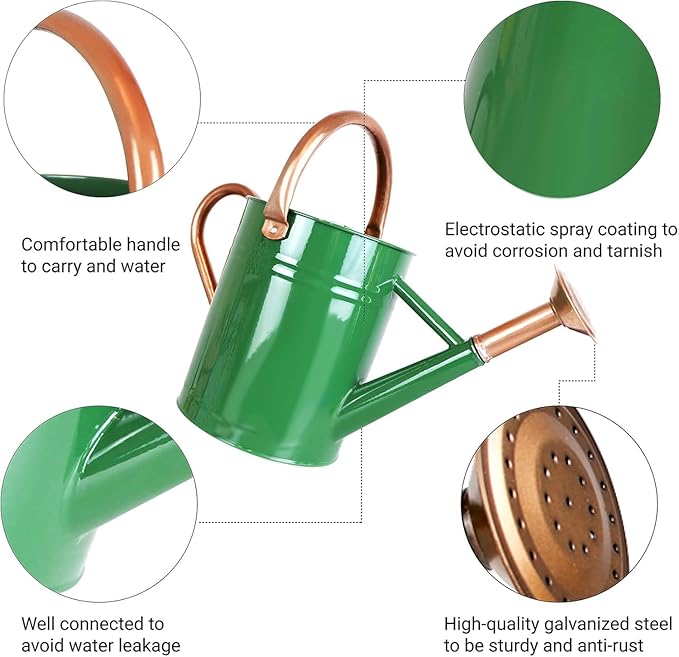 1 Gallon Metal Watering Can for Outdoor Garden, Plant & Flower Watering Pot for Gardening Bonsai Water Bucket with Sprinkler Head