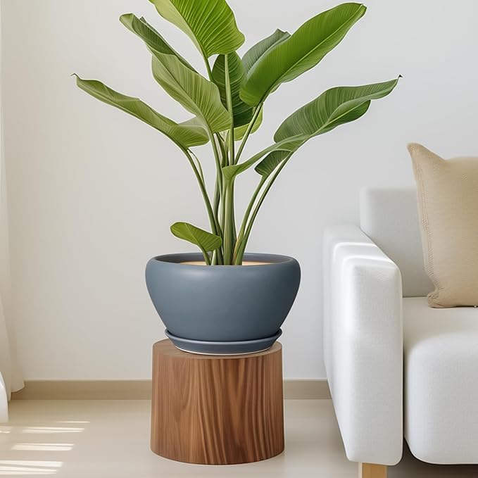 Ceramicfor Ceramic Plant Pot - 11 Inch Planter for Indoor Plants Large Plant Pot with Drainage Hole and Saucer Round Outdoor Planter Modern Flower Pot for Home Decor Gray