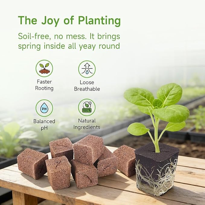 50 Packs Cuttage Grow Sponges, Pods Root Growth Sponge Eco Friendly PH Balance, Square Sponge Replacement Part Seedling Starter Sponges for Hydroponic Indoor Garden System Cuttage Rooting