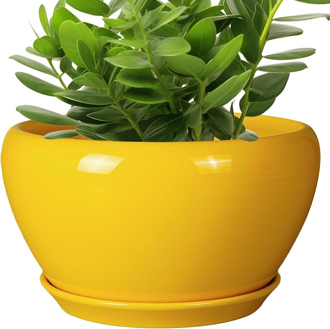 Ceramicfor Indoor Planter 11 Inch - Decorative Mid-Century Large Ceramic Plant Pot for Outdoor Plants with Drainage Hole and Saucer, Home Balcony House Garden Patio Office Room Decor, Yellow