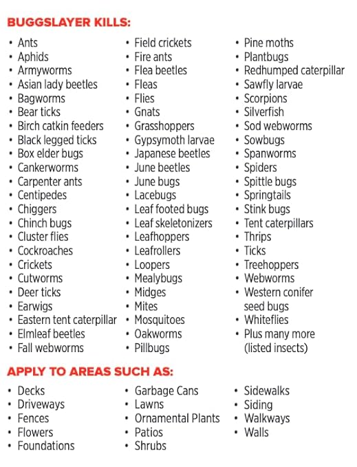BUGGSLAYER Insecticide - Concentrate - Outdoor Box Elder Bugs, Stink Bugs, Asian Lady Beetles - 16 oz Bottle