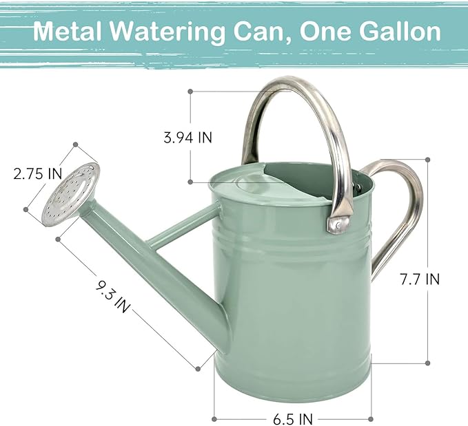 Metal Watering Can 1 Gallon with Removable Spout, Ideal Plant Watering Can for Indoor and Outdoor Plants (One Gallon Creamgreen)