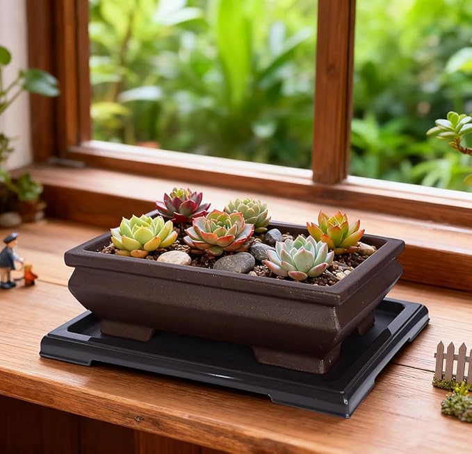 MUZHI Unglazed Ceramic Bonsai Pot with Drainage Tray, Rectangle Vintage Brown Bonsai Planter with 4 Raised Feet for Juniper Maple, Succulent Planter Pot with Drip Tray (Elegant Rectangle)