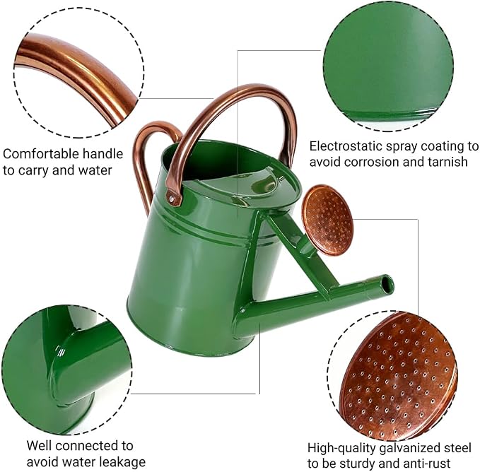1 Gallon Metal Watering Can with Removable Spout, Nice Galvanized Steel Water Can for Indoor and Outdoor Plants (House Plants)