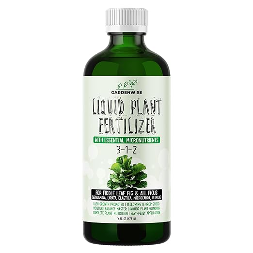 GARDENWISE 3-1-2 Liquid Fertilizer Concentrate with Micronutrients - Optimal Fiddle Leaf Fig Plant Food, Ideal for Ficus Lyrata & Fig Trees, Gold Leaf Enhanced Indoor Plant Fertilizer (16 OZ)
