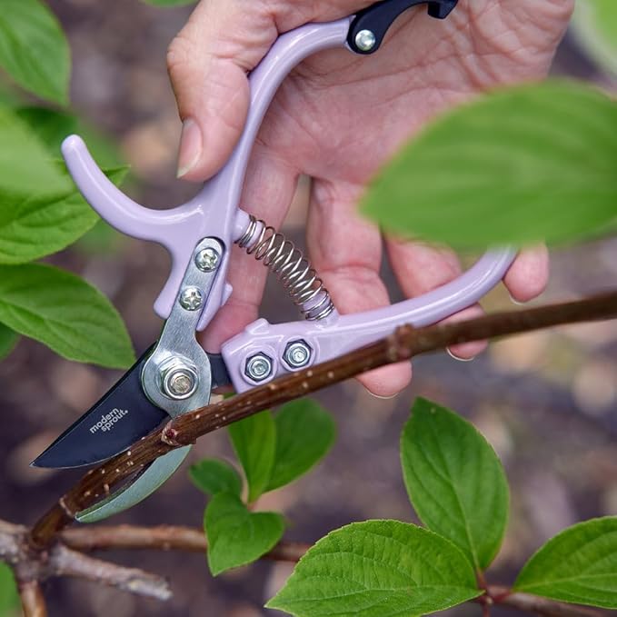 Modern Sprout Botanical Kit, Carbon Steel Pruning Shears & 8oz Plant Mister, Indoor & Outdoor Gardening Tools, Precision Cutting, Durable Water Sprayer Mister, Gift Set for Plant Lovers - Lavender