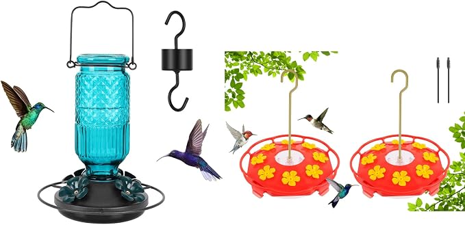 Glass Hummingbird Feeder& Plastic Disc Hummingbird Feeders