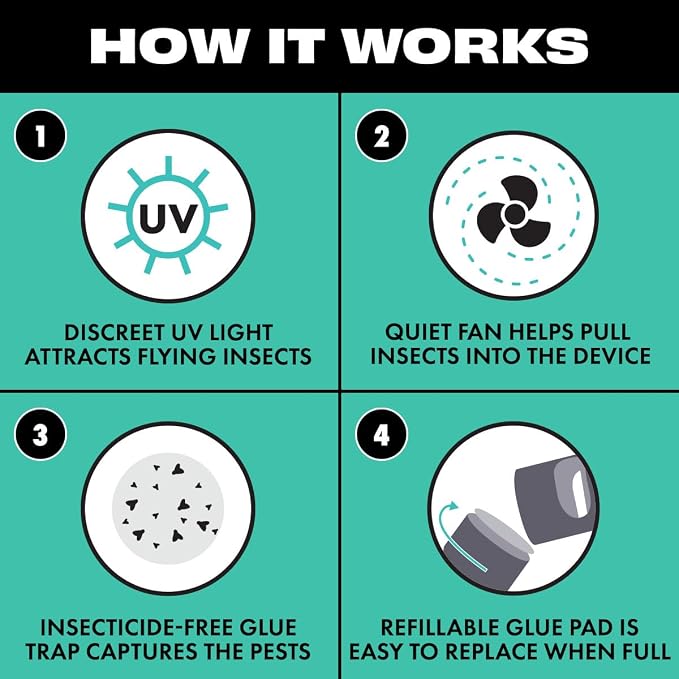 STEM Flying Insect Fan Trap for Indoor Bug Control, Attracts Mosquitoes, Fruit Flies, and House Flies, Plug-in Fan with UV Light, Starter Kit Includes 1 Device and 10 Glue Traps