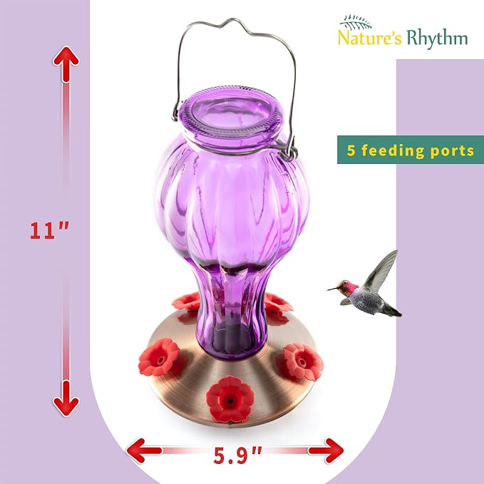 Nature's Rhythm Outdoor Mesh Feeder Metal Mesh Bird Feeder Purple Balloon Bottle Feeder Bird