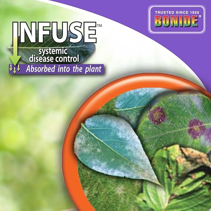 Bonide Infuse Systemic Disease Control, 32 oz Ready-to-Spray Solution for Lawn & Landscape, Fungicide for Turf & Ornamentals