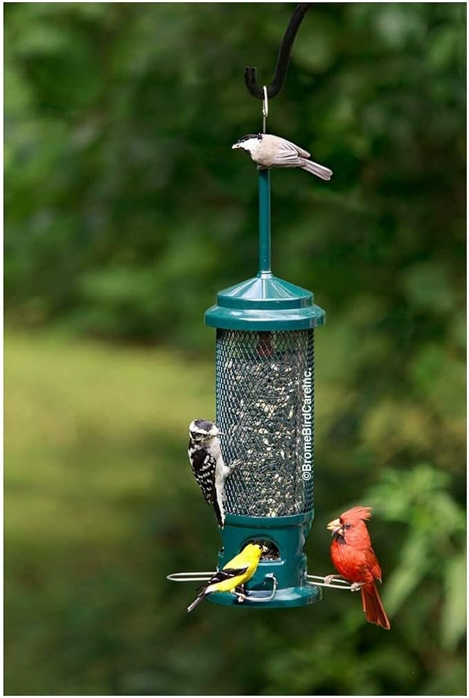 Squirrel Buster Legacy Squirrel-Proof Bird Feeder w/4 Metal Perches, 2.6-Pound Seed Capacity & Wagner's 62012 Southern Regional Blend Wild Bird Food, 20-Pound Bag