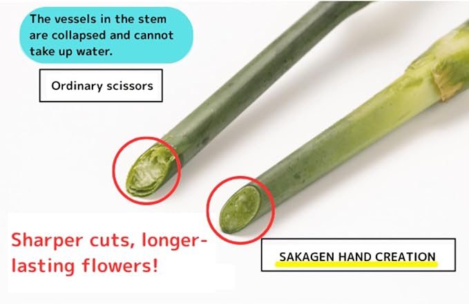 Ikebana Flower Scissors by SAKAGEN – Made in JAPAN, Lightweight & Ergonomic Floral Shears for Ikebana & Flower Arranging Hand Creation F165 (Red)