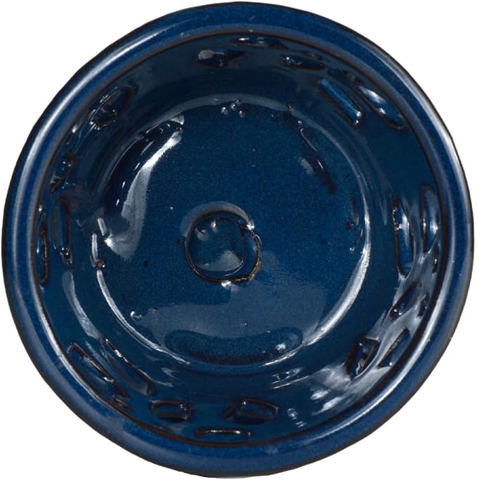 W&W Orchid Pot with Holes and Saucer for Repotting, Blue, 5 Inch