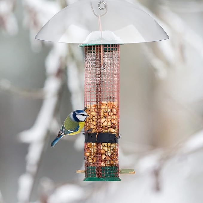 2 Pcs Squirrel Baffles Bird Feeder Rain Guard Bird Feeders Protective Cover Clear Round Protective Dome Rain Anti-Squirrel Protective Cover for Hanging Bird Feeders Outdoor Garden - 10''