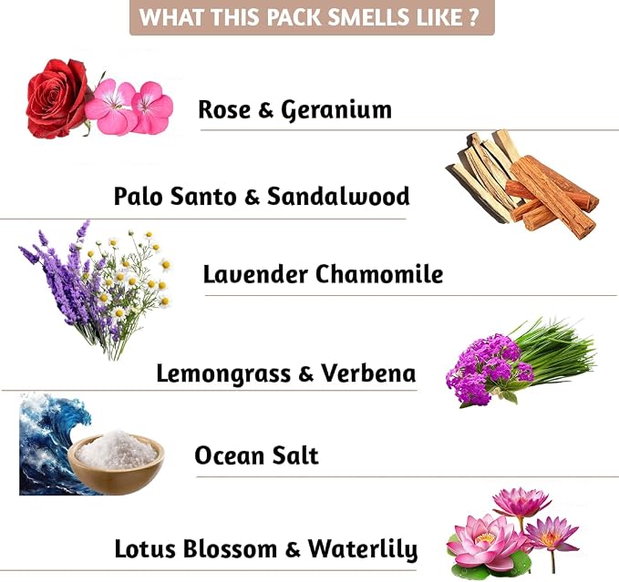 Folkulture Incense Sticks (240Sticks) | Pack of 12 Premium Incense for Graduation Gifts Yoga Meditation, Aromatherapy | Organic, Non Toxic, 45 Mins, Long Burning Palo Santo, Sandalwood, Insence-Sticks