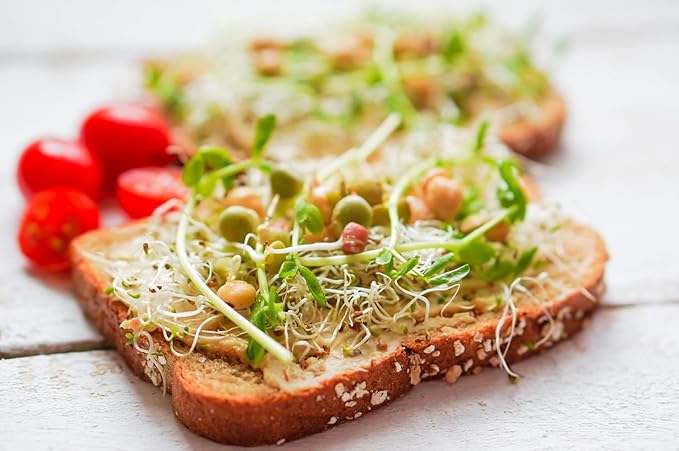 Premium USA Alfalfa Seeds for Sprouting & Microgreens with High Germination Rate. (4oz)
