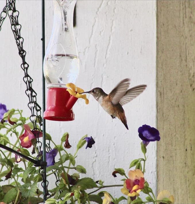 Mini Hummingbird Feeder 4 Pack 2.3oz Small Nectar Plastic Red Cute Hummingbird Feeders with Hanging Wires for Outdoor (Tulip Tube)