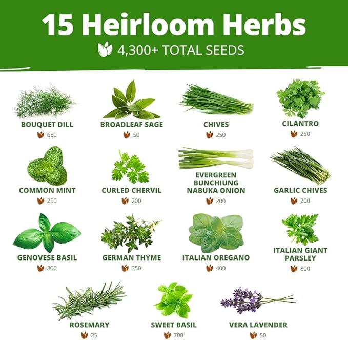 HOME GROWN 70 Variety Vegetable & Herb Seeds 32,000+ USA Non-GMO Heirloom Survival Seeds Garden Kit for Spring, Fall, Winter Indoor & Outdoor Planting Starter Set for Home Gardeners & Preppers