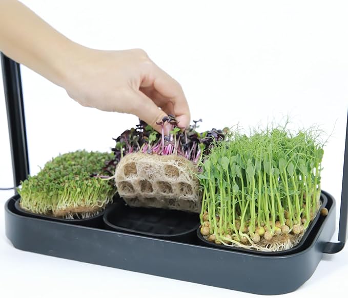 Microgreens Growing Trays - Set of 3 Proprietary Silicone Seed Starter Tray - Danish Design Seedling Tray for Indoor Grow Kit - Replacement Plant Tray for Seed Starting (No Seeds)