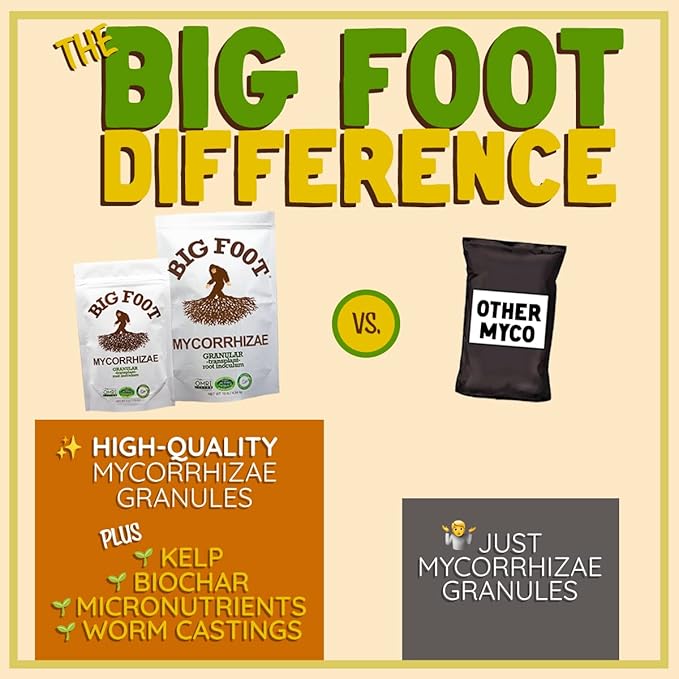Big Foot Mycorrhizal Fungi Granular for Transplants - for All Plants - Easy to Use Root Stimulator - Treats 240 Plants (60K mycorrhizal Spores) - Double Your Plant Size - 2 Pounds