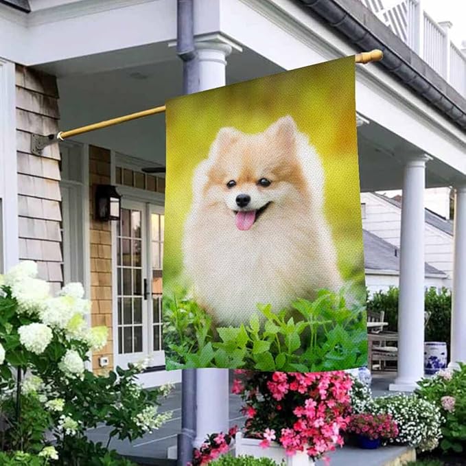 AOYEGO Pomeranian Dog House Flags 28 x 40 Double Sided Burlap Cute Spring Park Surrounded on Sunny Day Yard Flags Spring Summer Farmhouse Seasonal Outdoor Flag