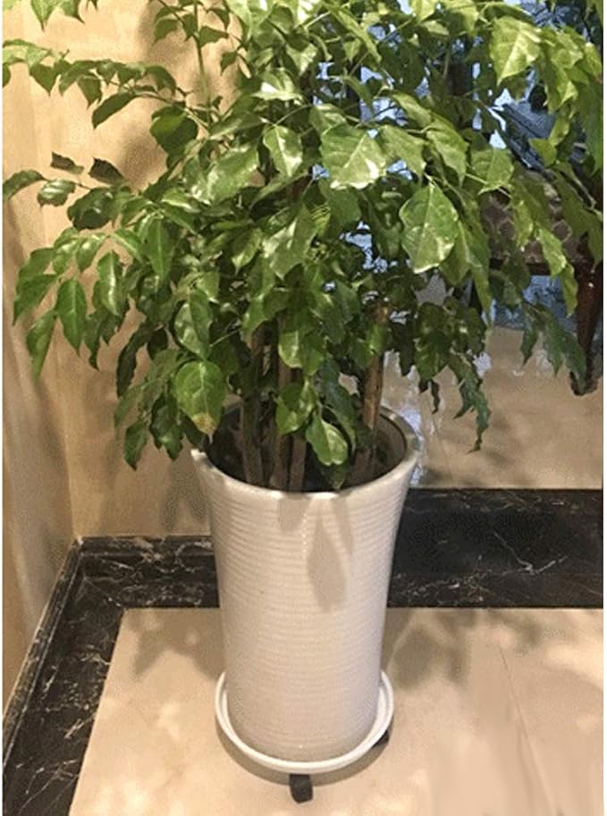 Plant Caddy with Wheels 15.5 Inch, 2 Pack Heavy Duty Plant Dolly Tray, Round Planter Caddies for Indoor & Outdoor Use, White