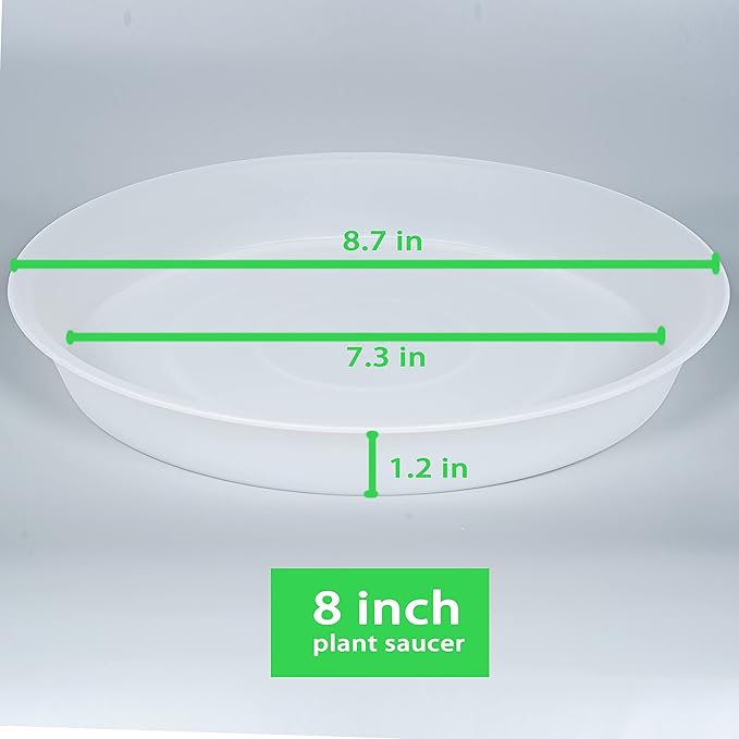 6 Pack of 8 inch Plant Saucer Clear, Heavy Duty Plastic Plant Water Tray 8 inch Round, Flower Plant Saucers for Indoors No Holes, Plant Dishes Saucer for Planter 7"/8" (8", Clear)