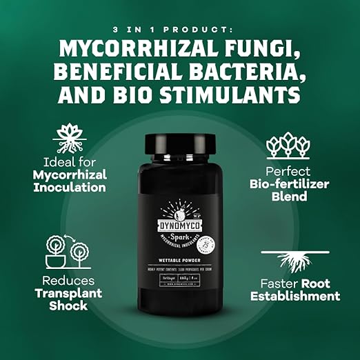 DYNOMYCO Spark Mycorrhizal Fungi, 4oz Wettable Powder – 3-In-1 Root Enhancer Turbocharges Nutrient Uptake & Yield – Treats 25 Plants, Indoor/Outdoor Bio-Stimulant – Dissolves Fast in Seed Starter Soil