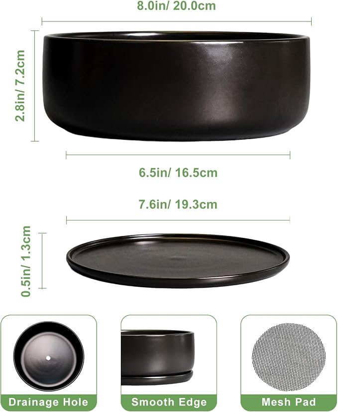 SQOWL Bonsai Pots - 8 Inch Ceramic Plant Pots for Succulents, Round Indoor Planter with Drainage Hole and Saucer, Shallow Modern Planter Bowl, Room Decor, Black