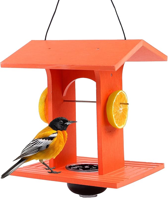 Oriole Feeder for Outdoors Hanging with Gift Box, Durable HDPE Plastic Oriole Jelly Feeder w/Fruit Holder & 6oz Glass Bowl, Bird Feeder for Orioles for Garden, Patio, Backyard